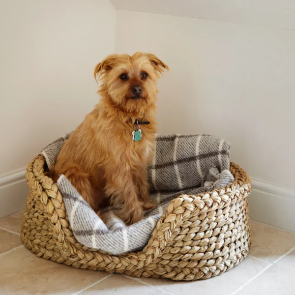 Rattan Cat Basket