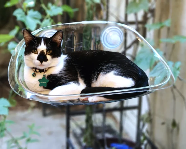 Luxury Cat Window Perch