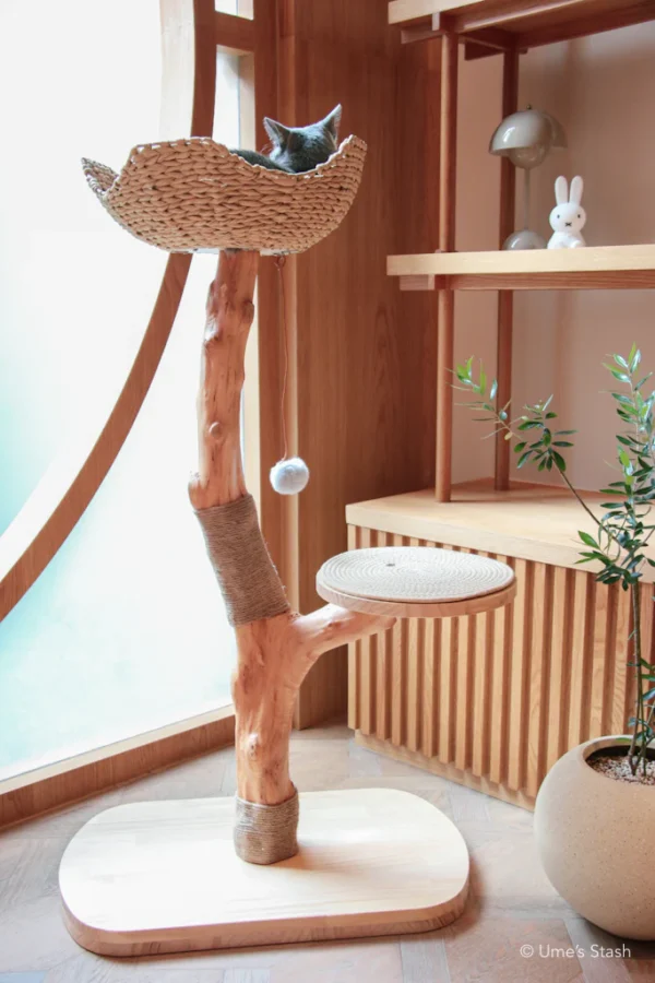 Wooden Cat Climbing Frame